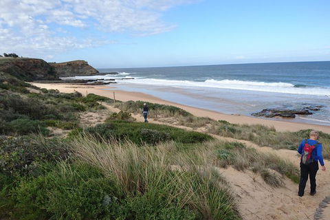 Phillip Island, George Bass Coastal Walk And Penguins Tour - Accommodation Perth 1