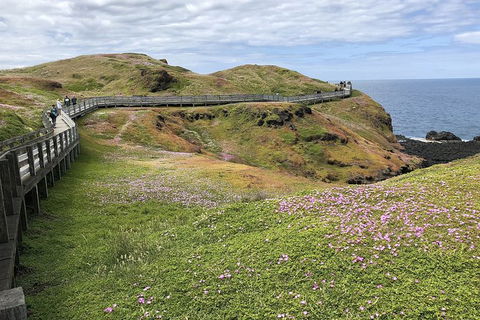 Phillip Island, George Bass Coastal Walk And Penguins Tour - Accommodation Perth 6