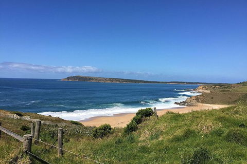 Phillip Island, George Bass Coastal Walk And Penguins Tour - Accommodation Perth 3