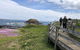 Phillip Island, George Bass Coastal Walk And Penguins Tour - thumb 12