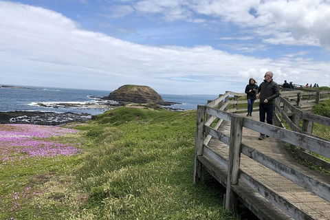 Phillip Island, George Bass Coastal Walk And Penguins Tour - Accommodation Perth 12
