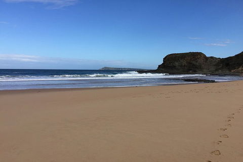 Phillip Island, George Bass Coastal Walk And Penguins Tour - Accommodation Perth 8