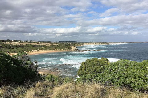 Phillip Island, George Bass Coastal Walk And Penguins Tour - Accommodation Perth 5