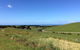 Phillip Island, George Bass Coastal Walk And Penguins Tour - thumb 10
