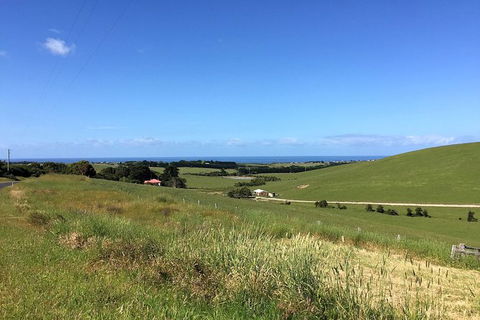 Phillip Island, George Bass Coastal Walk And Penguins Tour - Accommodation Perth 10