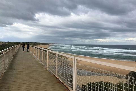 Phillip Island, George Bass Coastal Walk And Penguins Tour - Accommodation Perth 11