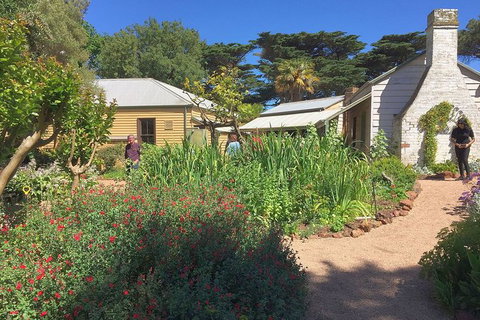 Phillip Island Tour Including Phillip Island Penguin Parade - Perth Resorts 9