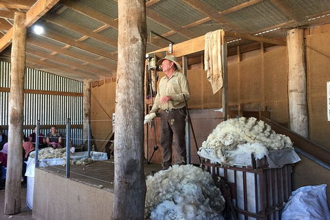 Phillip Island Tour Including Phillip Island Penguin Parade - Perth Resorts 5