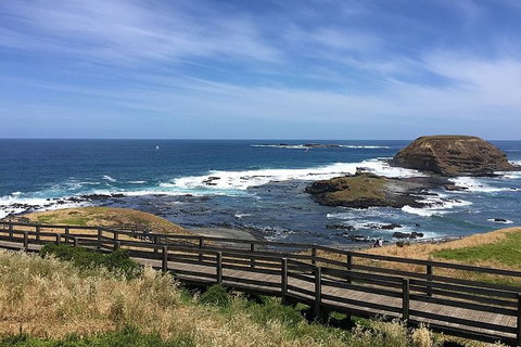 Phillip Island Tour Including Phillip Island Penguin Parade - Perth Resorts 6