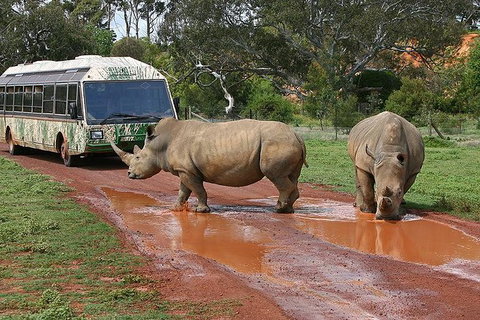 Melbourne Attractions Pass Including Melbourne Zoo, Hop-on Hop-off Bus And SEA LIFE Aquarium - Accommodation Perth 13
