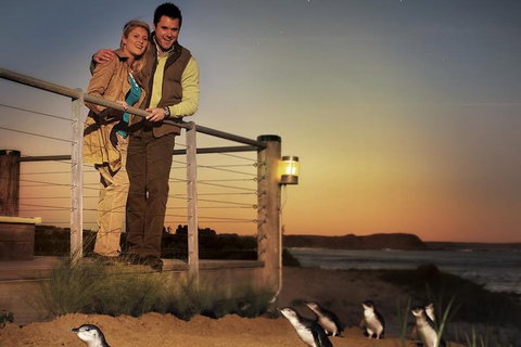 Melbourne Attractions Pass Including Melbourne Zoo, Hop-on Hop-off Bus And SEA LIFE Aquarium - Accommodation Perth 10
