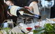 Yarra Valley Gourmet Small-Group Ecotour From Melbourne - thumb 5