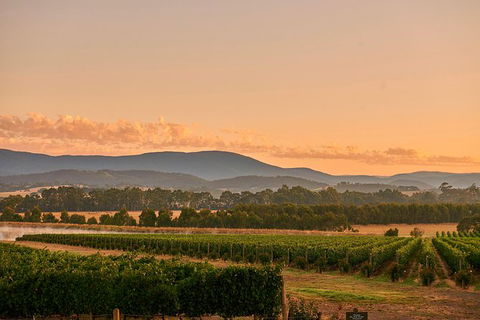 Yarra Valley Overnight Getaway And Private Wine Tour - For 2 - Accommodation Perth 8