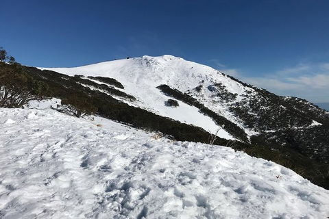 Mount Buller Snow Day Trip - Accommodation Perth 0
