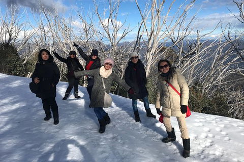 Mount Buller Snow Day Trip - Accommodation Perth 3