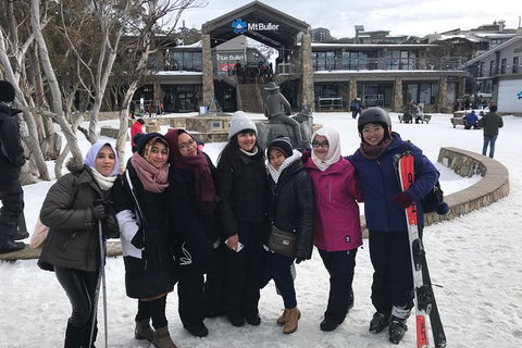 Mount Buller Snow Day Trip - Accommodation Perth 6