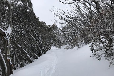 Mount Buller Snow Day Trip - Accommodation Perth 4
