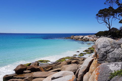 Tasmania 6 Day \'Tour In Circle\' - Perth Resorts 4