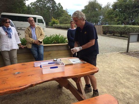 Bruny Island All Inclusive Gourmet Day Trip From Hobart - Perth Resorts 17