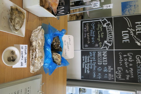 Bruny Island All Inclusive Gourmet Day Trip From Hobart - Perth Resorts 12