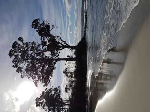 Bruny Island All Inclusive Gourmet Day Trip From Hobart - Perth Resorts 5