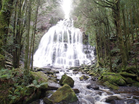 5-Day Best Of Tasmania Tour From Hobart - Perth Resorts 2