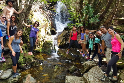 5-Day Best Of Tasmania Tour From Hobart - Perth Resorts 9