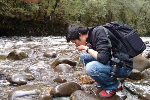 5-Day Best Of Tasmania Tour From Hobart - Perth Resorts 11