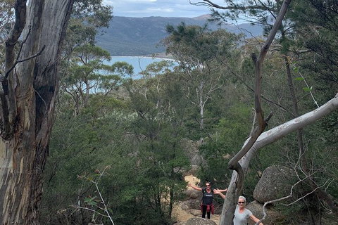 Wineglass Bay And Freycinet National Park Active Day Trip From Hobart - Perth Resorts 14