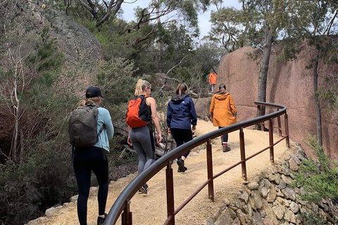 Wineglass Bay And Freycinet National Park Active Day Trip From Hobart - Perth Resorts 25