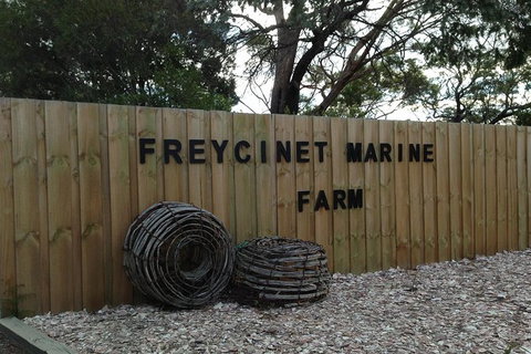 Wineglass Bay And Freycinet National Park Active Day Trip From Hobart - Perth Resorts 20