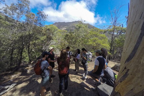 Wineglass Bay And Freycinet National Park Active Day Trip From Hobart - Perth Resorts 9