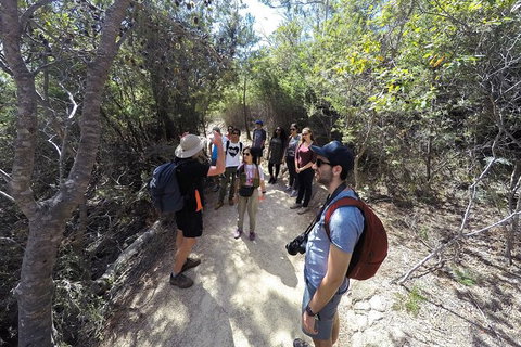 Wineglass Bay And Freycinet National Park Active Day Trip From Hobart - Perth Resorts 19