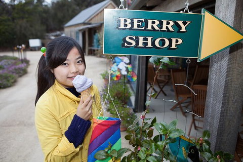 Wineglass Bay And Freycinet National Park Active Day Trip From Hobart - Perth Resorts 11