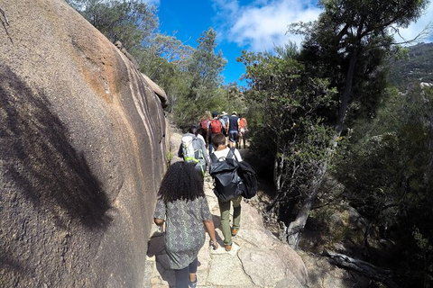 Wineglass Bay And Freycinet National Park Active Day Trip From Hobart - Perth Resorts 21