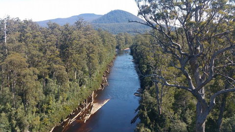 Small-group DayTour From Hobart: Hastings Caves, Huon Valley And Tahune AirWalk - Perth Resorts 3