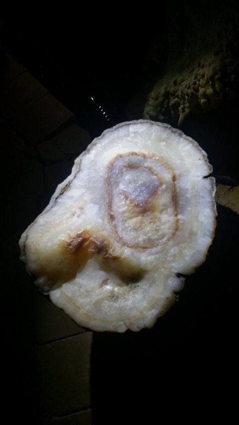 Small-group DayTour From Hobart: Hastings Caves, Huon Valley And Tahune AirWalk - Perth Resorts 6