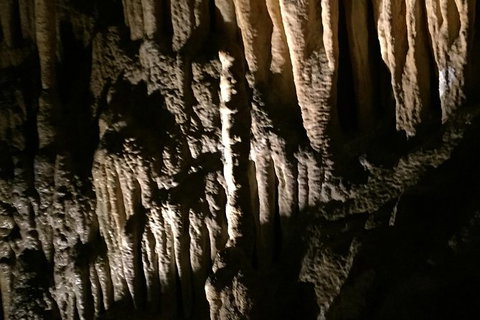 Small-group DayTour From Hobart: Hastings Caves, Huon Valley And Tahune AirWalk - Perth Resorts 1