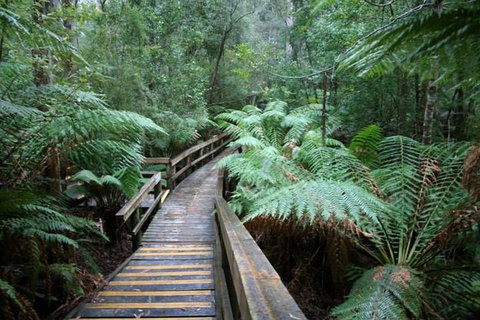 Small-group DayTour From Hobart: Hastings Caves, Huon Valley And Tahune AirWalk - Perth Resorts 0