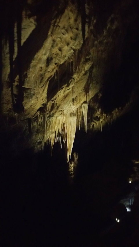 Small-group DayTour From Hobart: Hastings Caves, Huon Valley And Tahune AirWalk - Perth Resorts 7
