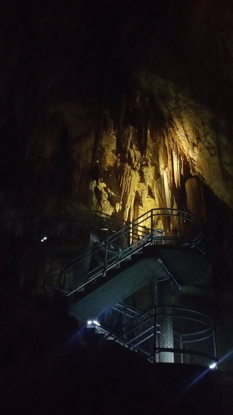 Small-group DayTour From Hobart: Hastings Caves, Huon Valley And Tahune AirWalk - Perth Resorts 4