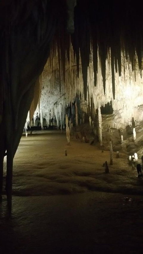 Small-group DayTour From Hobart: Hastings Caves, Huon Valley And Tahune AirWalk - Perth Resorts 8