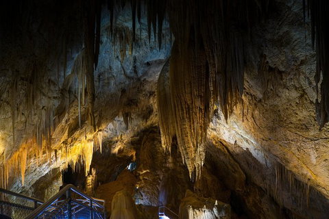 Small-group DayTour From Hobart: Hastings Caves, Huon Valley And Tahune AirWalk - Perth Resorts 19