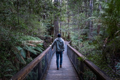 Small-group DayTour From Hobart: Hastings Caves, Huon Valley And Tahune AirWalk - Perth Resorts 11