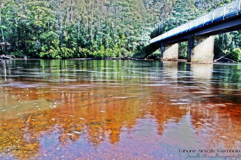 Small-group DayTour From Hobart: Hastings Caves, Huon Valley And Tahune AirWalk - Perth Resorts 17