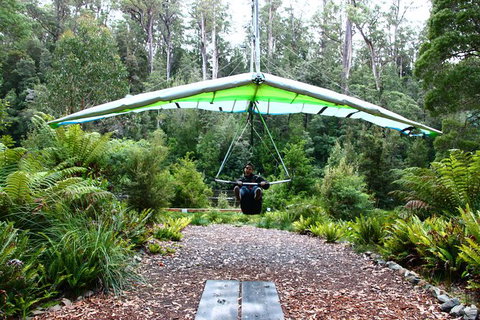 Small-group DayTour From Hobart: Hastings Caves, Huon Valley And Tahune AirWalk - Perth Resorts 10