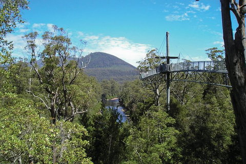Small-group DayTour From Hobart: Hastings Caves, Huon Valley And Tahune AirWalk - Perth Resorts 9