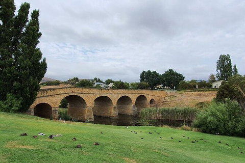 Port Arthur, Richmond And Tasman Peninsula Day Trip From Hobart - Perth Resorts 7