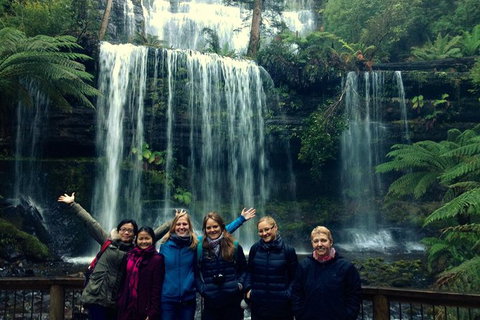 Mt Field National Park Active Day-Trip Including Bonorong And Mt Wellington - Perth Resorts 1