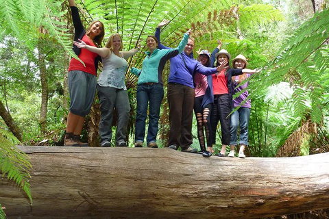 Mt Field National Park Active Day-Trip Including Bonorong And Mt Wellington - Perth Resorts 4